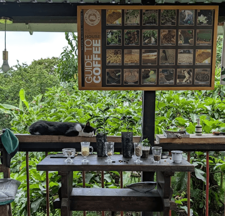 Coffee tour presentation at Finca Don Eduardo, Salento